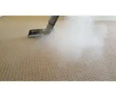 Affordable Carpet Steam Cleaning Adelaide | Book Now