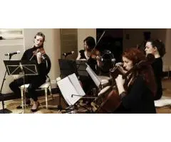 String Quartet Adelaide for Stunning Live Performances and Memorable Events