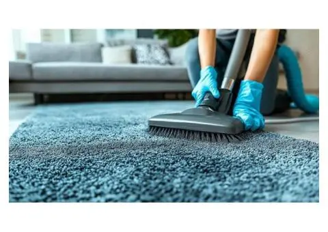 Professional Cleaning Services