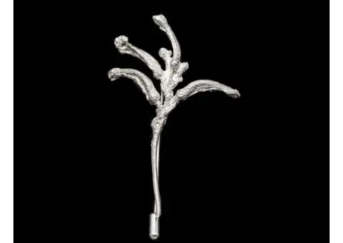 Add Nature’s Touch with Affordable Jewellery Native Pins in Australia