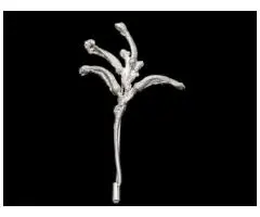 Add Nature’s Touch with Affordable Jewellery Native Pins in Australia