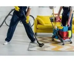 Eco-Friendly Carpet Cleaning in Craigie