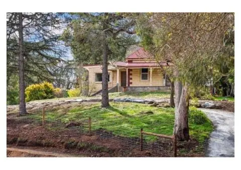 Get Win-Win Realty Deals With Best Real Estate Agent in Highbury