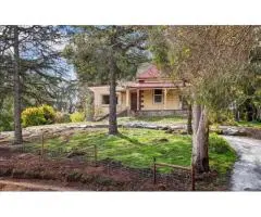 Get Win-Win Realty Deals With Best Real Estate Agent in Highbury