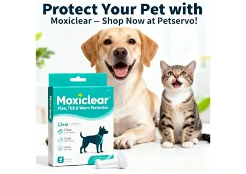 Moxiclear Flea, Tick & Worm Protection – Complete Pet Care Solution | Shop Now at Petservo