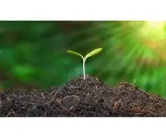 Why Australian Organic Fertilisers Are Essential for Healthy Gardens