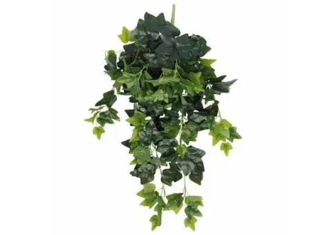 Bring Green Elegance to Newer Heights with Artificial Hanging Plants