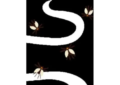 Say Goodbye to Bed Bugs with Expert Pest Control Services in Melbourne