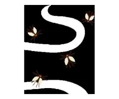 Say Goodbye to Bed Bugs with Expert Pest Control Services in Melbourne