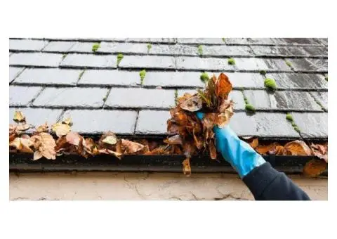Expert Gutter Cleaning Geelong – Protect Your Home from Water Damage