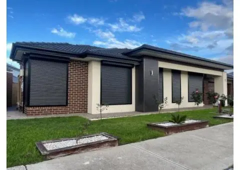 Experience Beauty & Strength with Security Doors in Bayswater