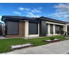 Experience Beauty & Strength with Security Doors in Bayswater