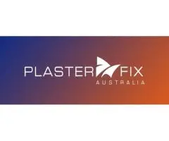 Plaster Repair