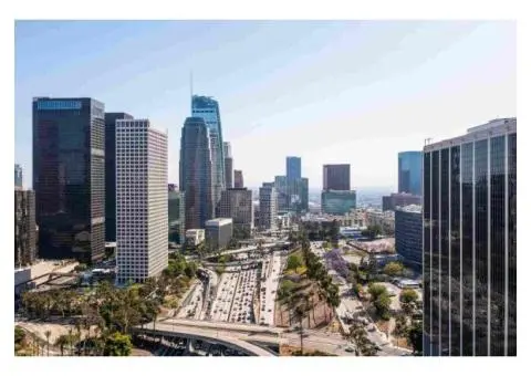 Buy Confidently with an Expert Property Buyer in Sydney