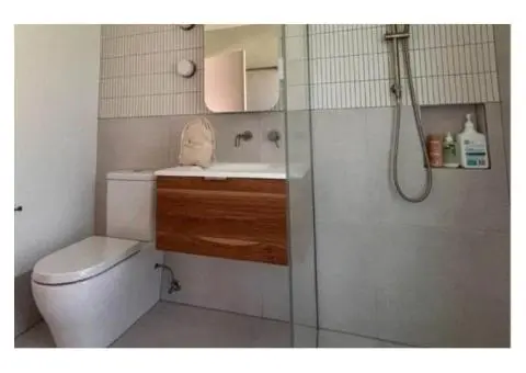 Plumbing Belmont