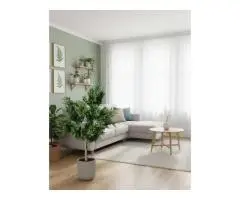 Give Your Home a Mediterranean Vibe with a Faux Olive Tree