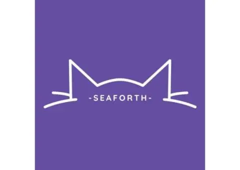 Boutique Cat Resorts Seaforth