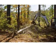 Affordable Stump Removal Services in Melbourne – Taylors Tree & Stump Removal