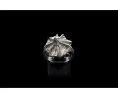 Find Your Perfect Piece in Our Australian Native Rings Collection