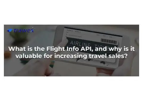 FLIGHT INFO API