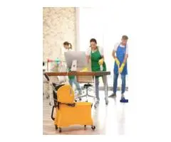 Make Your Office Healthier with Professional Carpet Cleaning in Melbourne