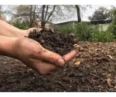 Why Gardeners Trust Australian Organic Fertilisers from Soil Dynamics