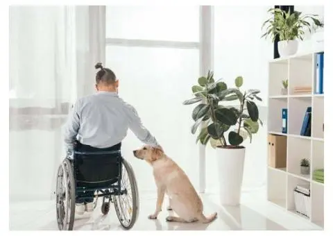 Comfortable & Trusted NDIS Short Term Accommodation in Sydney
