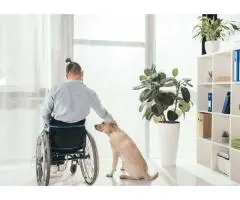 Comfortable & Trusted NDIS Short Term Accommodation in Sydney