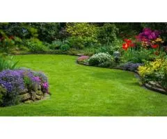 Landscaping clontarf