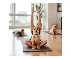 Stretch, smile, snuggle: Brisbane puppy yoga edition