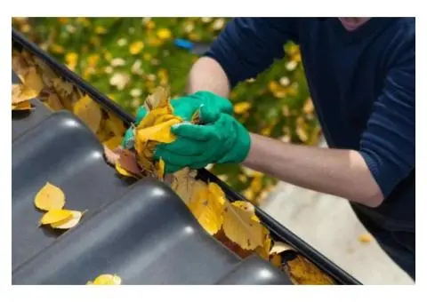 Hassle-Free Gutter Cleaning for Sydney Homes – Reliable, Fast & Affordable!