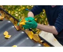 Hassle-Free Gutter Cleaning for Sydney Homes – Reliable, Fast & Affordable!