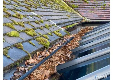 Protect Your Property with Expert Gutter Cleaning in Inner West, NSW
