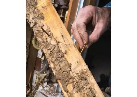 Best Termite Barrier Perth | Tom’s Pest Control Perth