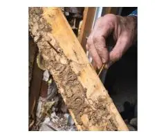 Best Termite Barrier Perth | Tom’s Pest Control Perth