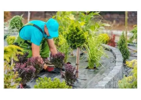 Reliable Landscaping and Gardening Services in Schofields