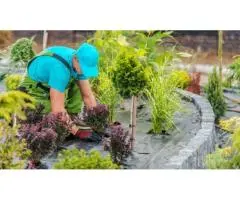 Reliable Landscaping and Gardening Services in Schofields