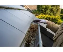 Expert Gutter Cleaning Services in Eastern Suburbs