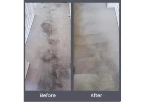 Get fast-tracked services and zero chemical use with Carpet Dry Cleaning Adelaide