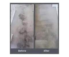 Get fast-tracked services and zero chemical use with Carpet Dry Cleaning Adelaide