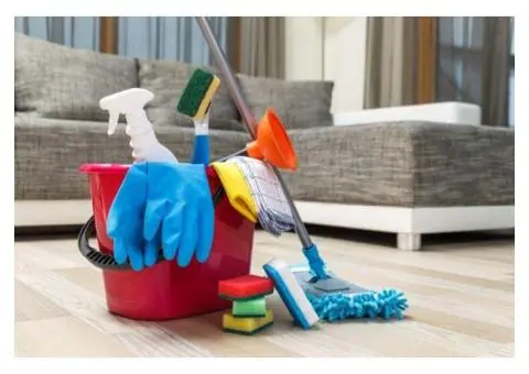 Professional Carpet Steam Cleaning Services in Sydney