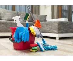 Professional Carpet Steam Cleaning Services in Sydney