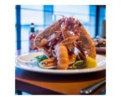 Seafood Restaurant in Melbourne: Straight out of Sea to your plates