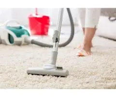 Transform Your Carpets and Rugs with Professional Care