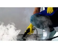 Professional Upholstery Cleaning in Brisbane