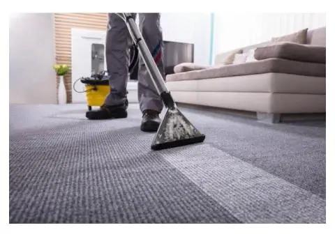 Trusted Marrickville Carpet Cleaners for Fresh and Hygienic Carpets