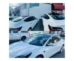 Adelaide window tinting