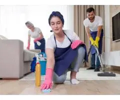 Professional Home Cleaning Services Near Port Melbourne