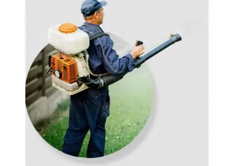 Pest Control St George