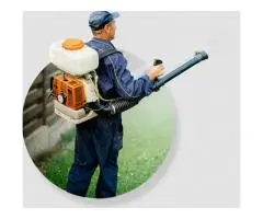 Pest Control St George